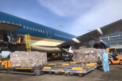 Temasek Foundation-donated medical equipment arrive in Vietnam 
