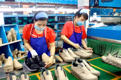 Vietnam leads recovery in Southeast Asian supply chains: Nikkei Asia