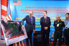 Vietnamese firm selected as prime contractor for Bien Hoa Airbase dioxin remediation project