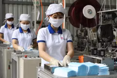 Vinh Long works to support business in local IPs amid COVID-19