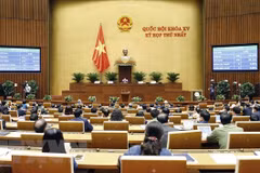 Several important positions in 15th National Assembly to be elected 