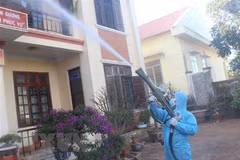 Four more COVID-19 patients in Gia Lai discharged from hospital