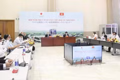 Binh Duong province calls for investment from Japan