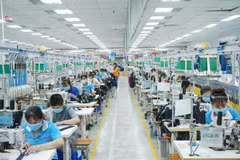 Listed companies find momentum to thrive in Q4
