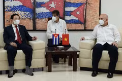 Vietnam, Cuba share experience in party building