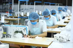 Textile - garment industry may flourish in 2022: insiders