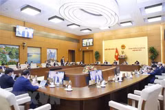 NA Standing Committee adopts 2022 working programme 