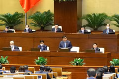 Three ministers present explanations on issues of NA deputies’ concern