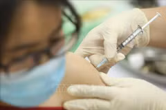 First six volunteers receive second shots in Covivac vaccine trials
