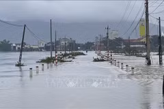 Vietnam can learn from Brussels' flood prevention experience: expert