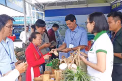 Kien Giang has 18 more star-rated OCOP products 