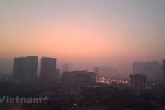 Localities asked to act urgently to tackle air pollution