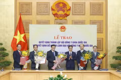 National medical council makes debut 