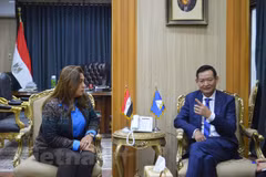 Vietnam, Egypt look to beef up trade, investment ties 