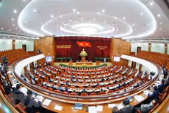 Party Central Committee scrutinises socio-economic development plans