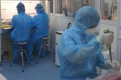 Vietnam reports 146 domestic COVID-19 cases in six hours