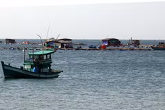 Sustainable agriculture: economic backbone of Mekong Delta province