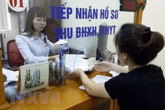VSS proposes increasing assistance for voluntary social insurance holders