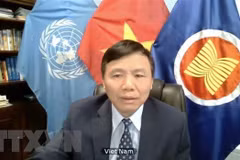 Vietnam calls on Myanmar to end violence, find satisfactory solution
