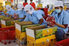 Canadian firms seek trade, investment opportunities in Vietnam