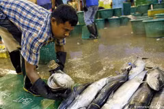 Thailand: Migrant workers get pandemic aid from businesses 