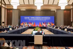 Vietnam attends Special ASEAN-China Foreign Ministers' Meeting