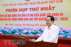 Vietnam Fatherland Front to uphold consultation role in general election