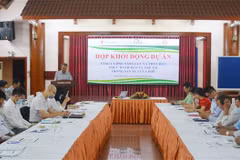 Project launched to protect children in coffee production