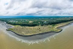 HCM City turns screws on marine economy