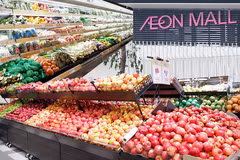 Efforts made to help Vietnamese farm produce approach foreign distribution systems