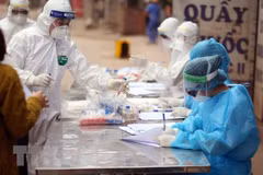  Vietnamese communities in Australia, France support COVID-19 fight at home