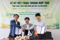 Vietnamese farm produce popularised in RoK