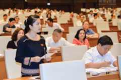 Vietnam plans to raise ethnic NA deputies to 18 percent
