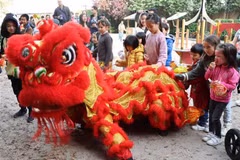 Vietnam Family Day in Belgium held