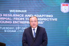 Webinar seeks ways to connect young entrepreneurs in HCM City and Indonesia
