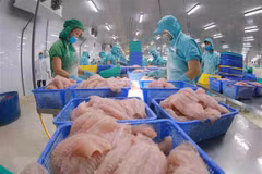 Fisheries sector sees recovery signs in October
