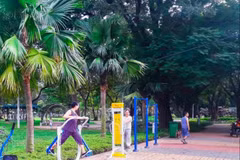 HCM City allocates land for physical training and sports facilities