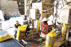 Origin fraud may erode Vietnamese rice’s prestige: insiders