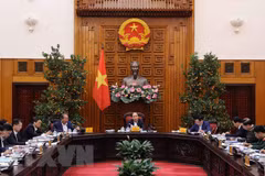 Cabinet members discuss urban administration models in HCM City, Da Nang