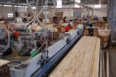 Bright outlook for domestic timber industry