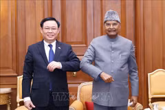 NA Chairman Vuong Dinh Hue meets Indian President
