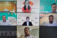 Vietnamese, Singaporean firms tap FTAs with EU, UK to expand cooperation 