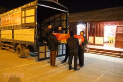 Remains of Vietnamese martyrs brought home from Laos