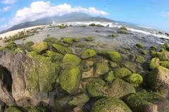 Nam O Reef, the green pearl of Da Nang