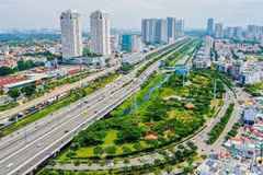 HCM City gathers overseas Vietnamese’s ideas on sustainable development 