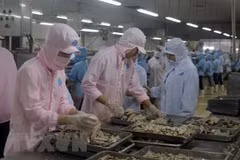 Vietnamese, US officials talk economic, trade issues