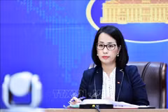 Deputy spokeswoman clarifies issues of public interest
