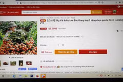 Bloomberg: Vietnam’s e-commerce growth potential alluring