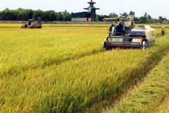 Vietnam’s supporting policies contribute to higher level of mechanisation in agriculture
