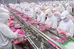 Aquatic product exports rise 14 percent in five months